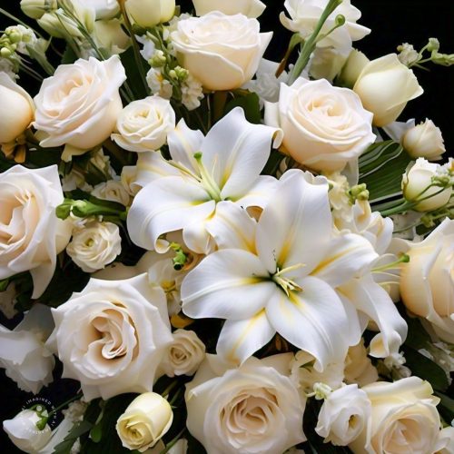 WhatsApp Image 2024-11-12 at 11.34.08_1c06e2fa